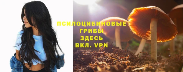 СК Сосновка