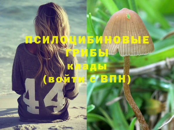 СК Сосновка