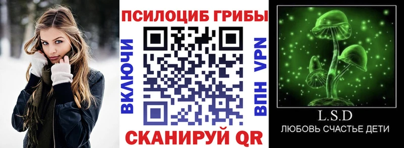 Купить  Кизел  Галлюциногенные грибы MAGIC MUSHROOMS 